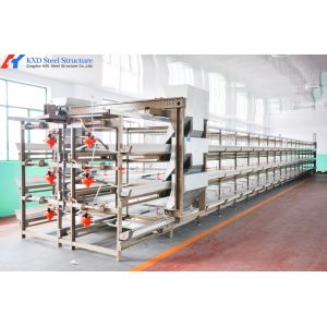 3 Tiers-10 Tiers Poultry Farm Cage Automatic Feeding Chicken House Cage
