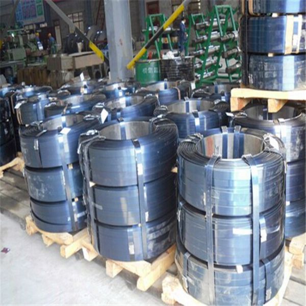 125Cr2 1.2002 Alloy Spring Steel Strip