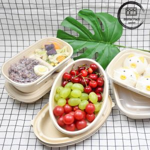 Take Away Lunch Recyclable Food Containers Biodegradable Sugarcane Bagasse