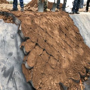 Hdpe Geocell 50mm-250mm Height for Contemporary Design Road Grid and Gravel