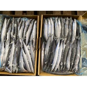 IFS High Protein #3 BQF Frozen Pacific Saury Fish