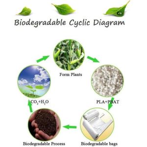 Biodegradable and compostable PLA gloves,OEM cheap biodegradable kitchen