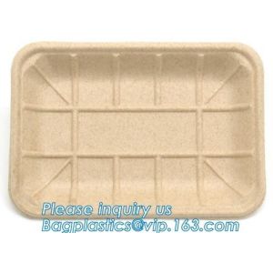 biodegradable food tray for fruit or snack biodegradable corn starch disposable