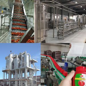 High-Speed Tomato Processing Equipment Sanitary Stainless-Steel Line for sauce