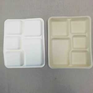 100% Biodegradable Sugarcane Pulp 5 Compartment Tray Natural Bagasse Eco