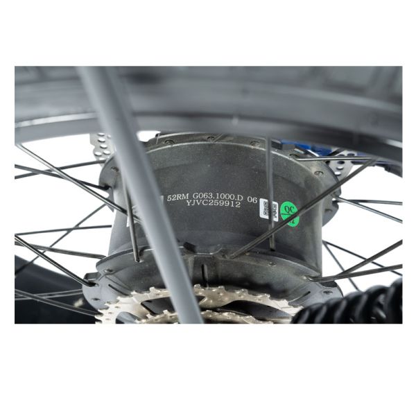 Customized Mountain Electric Bike with Torque 30-50 Nm and 48V Voltage Beach Bikes Cruisers