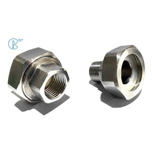 PPR Stainless Steel Inserts Female Threads Union Joint Fittings