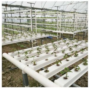 Customized Length Greenhouse Benches with Modern Design Option