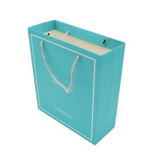 Recyclable CDR Custom Printed Paper Shopping Bag CMYK PMS With Rope Handles