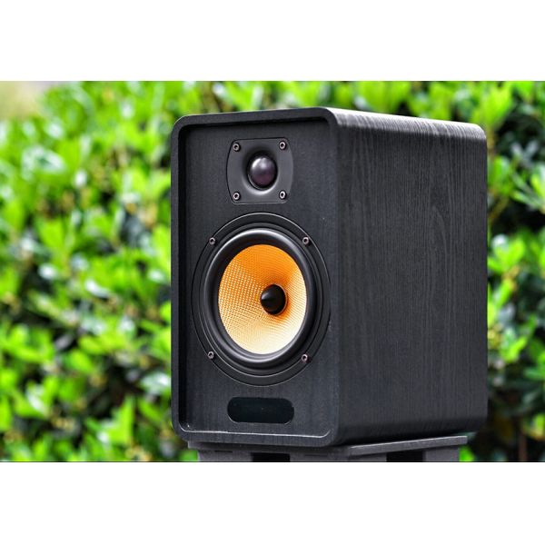 Buy Portable QE520 Active Bookshelf Hifi Speaker Multimedia Karaoke at wholesale prices