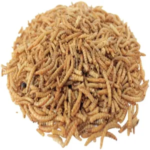 Quality -Made Yellow Mealworm Oil - Abundant in Nutritional Value for sale