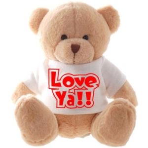 12 Inch White Teddy Bear Holiday Stuffed Toys Embroidery Printing