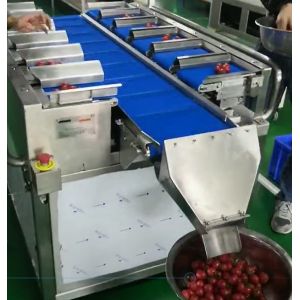 Semi Combination Weigher SUS 304 30 BPM For Food Fruit