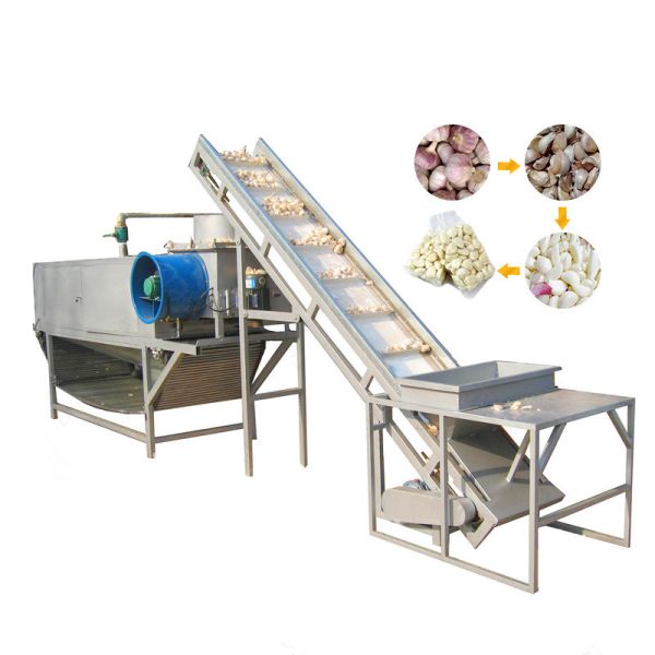 Automatic Stainless Steel Fruit Vegetable Processing Machine Electric Double