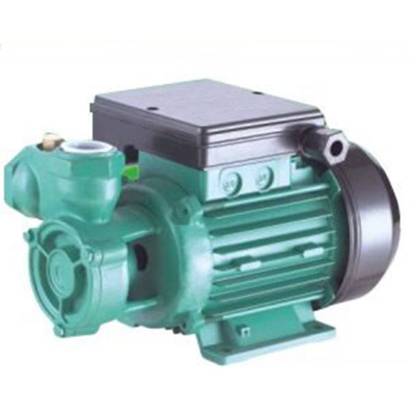 DB-550 vortex water pump