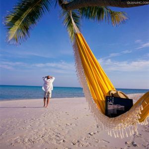 Quality 280*140CM Lightweight Durable Taffeta Parachute Nylon Collapsible Camping Hammock With Mosquito Net For Trees for sale