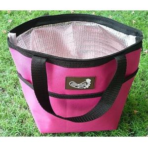 Double Bottle Insulation Breastmilk Cooler Bag Insulated Lunch,backpack beer