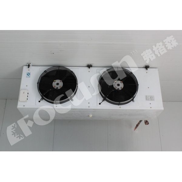 10-15cm Panel Thickness Walk-In Cooled Storage Blast Freezer Unit Discount