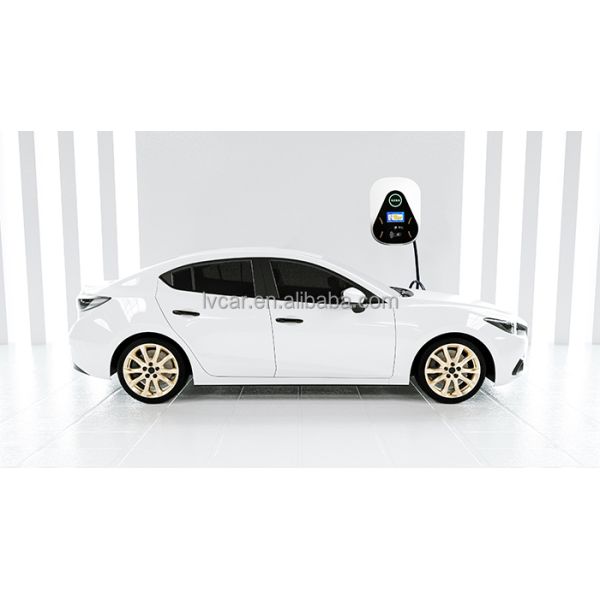 220VAC Input Voltage Range 7KW Wall Mounted Charger for Energy Vehicles Portable Charger