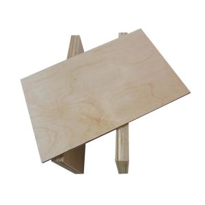 CARB 12mm 18m Birch Hardwood Plywood For Furniture
