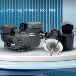 1000w Electric Water Pump Motor High Torque 220V 1.0HP 1.5HP 50hz 3000rpm Single