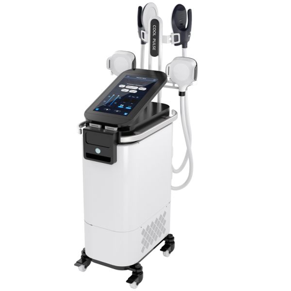 Electromagnetic Electric Muscle Stimulator Machine Fat Reduction Body Fitness 3000W