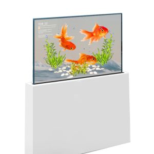 Museums 55 Inch Transparent OLED Customizable Translucent OLED