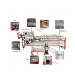 SUS 304 Stainless Steel Ginger Semi Auto Washing Machine With Ce Certificate