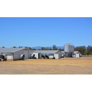 Poultry House Prefabricated Steel Structure Poultry House With Sandwich Panel