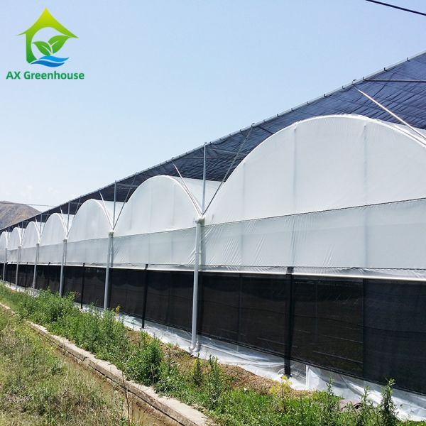 Buy Commercial Customized Multi Span Agricultural Film Poly Tunnel Vegetable Greenhouse at wholesale prices