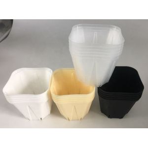 Durable whole sales black plastic seedling pot small square shape nursery pot