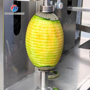 Melon and fruit double-head with single cutter peeling machine papaya chieh-qua