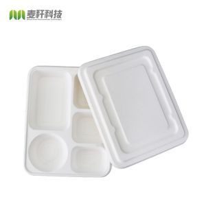 Quality New item Compostable bagasse oblong 5 section compartment dinner Plate for sale