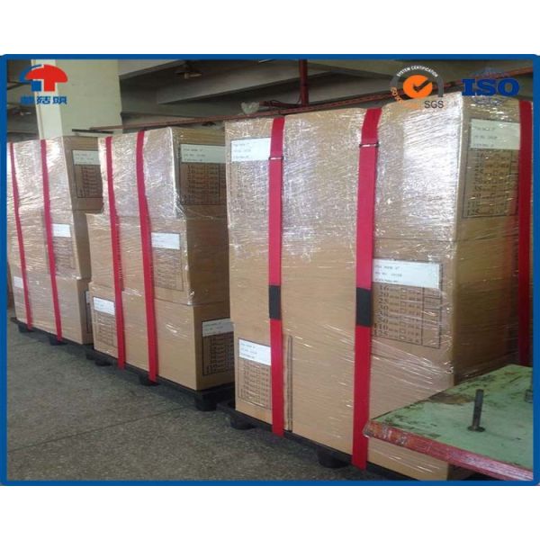 Buy 38mm Wide Adjustable Pallet Double loop strap Belt With touch fastening shoes , Security at wholesale prices