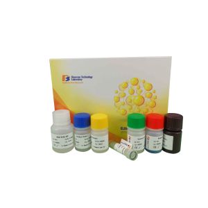 Quality Opn Sandwich Mouse Elisa Kit 96 Wells With High Precision / Sensitivity for sale