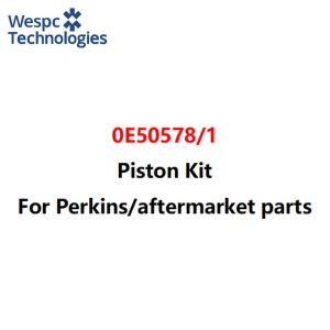 Quality WESPC 0E50578 1 piston kit for Perkins 1106 series diesel engines for sale