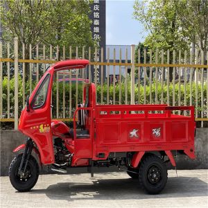Dayang 200cc/250cc/300cc Tricycle Motorcycle for Cargo Transportation at