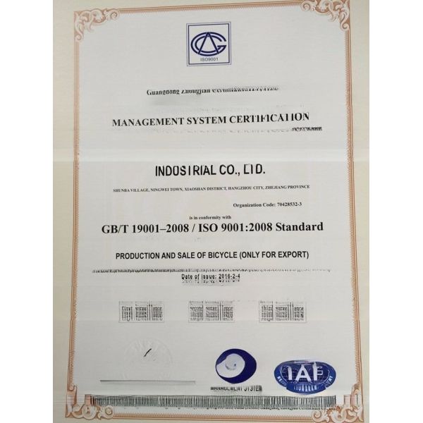 26 inch Russia Mountain Bike MTB OEM Adult Bicycle 21 Speed 24 Speed Steel Fork Disc Brake