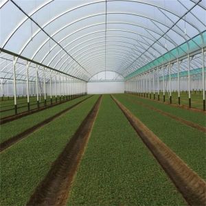 PE Film Covering Heavy Duty Plastic Greenhouse / Prefabricated Poly Tech