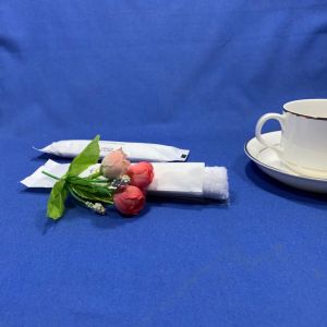 Antibacterial Sterilization Airline Wet Towel