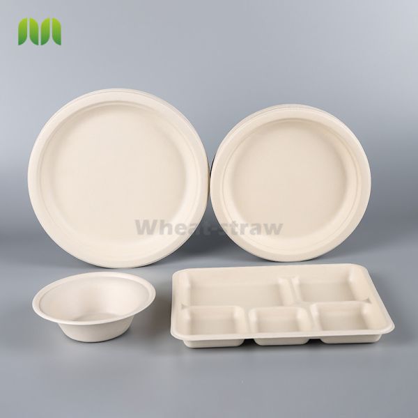 Hot Selling Fast Delivery platos desechables takeaway plateau disposable plates