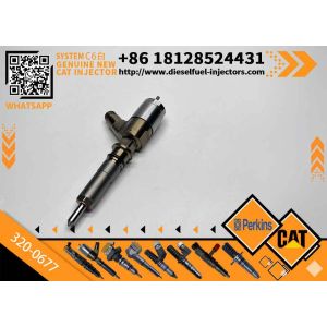 China High Performance New Diesel Fuel Injector 2645A746 10R-7671 3200677 320-0677 for CAT 320D Excavator C4.4 C6.6 Engine on sale
