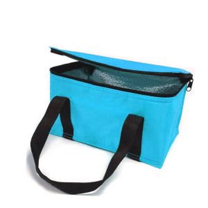 OEM Custom Printing Soft Insulated Cooler Bag 21*13*14 Cm With 4L 16L 32L