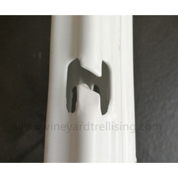 Durable Grape Vine Stakes / Galvanised Steel Vineyard Posts Package In Pallet