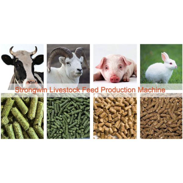 380V Animal Feed Processing Equipment 2 MM 4MM 6MM With Sieve Siemens Motor