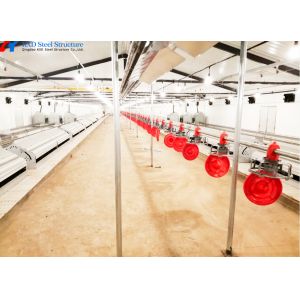 Quick Fitting Automatic Feeding And Drinking System For Broiler Chicken Shed