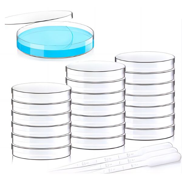Buy Sterile Cell Culture Plastic Petri Dish In Laboratory at wholesale prices
