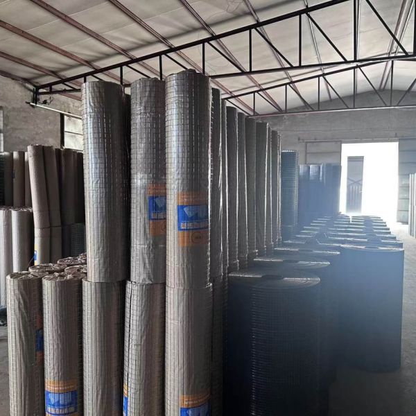 Pre Galvanized Welded Wire Mesh Roll No Rust Low Maintenance 25m 30m 50m Length