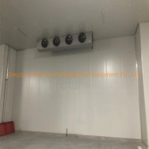 Cold/Cool/Freezer Room for Chicken/Meat/Fish -10-0C Temperature Assembled Design