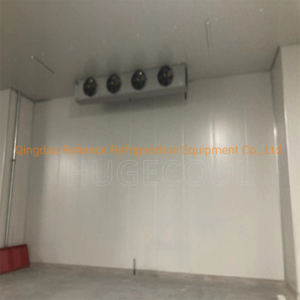 Blast Freezer Cold Room with Air Cooling Method and Compressor Refrigeration